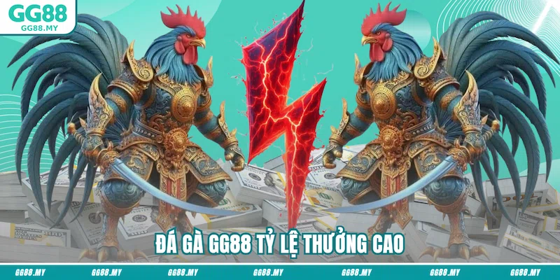 Đá gà GG88 tỷ lệ thưởng cao